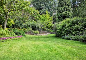 Optimiser l'expérience du jardin à Romeny-sur-Marne